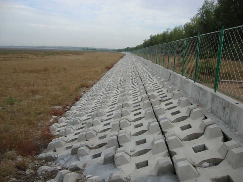 �R���Юa(ch��n)֥ˮ��(k��)�|���o(h��)�¹���